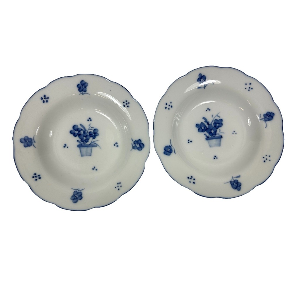 Bia Cordon Bleu‎ Rimmed Soup Bowls Bouquet Flower Pot Blue & White Set Of 2 8"